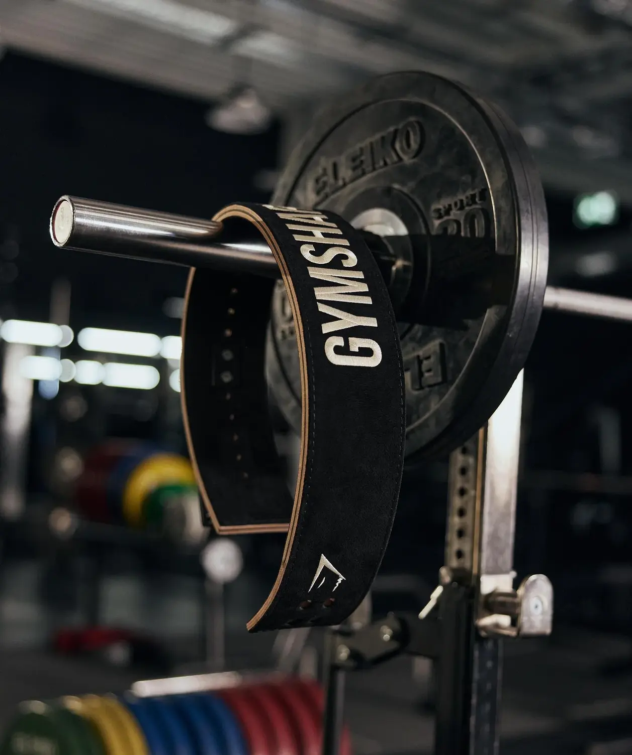 Lever Lifting Belt - Image 7
