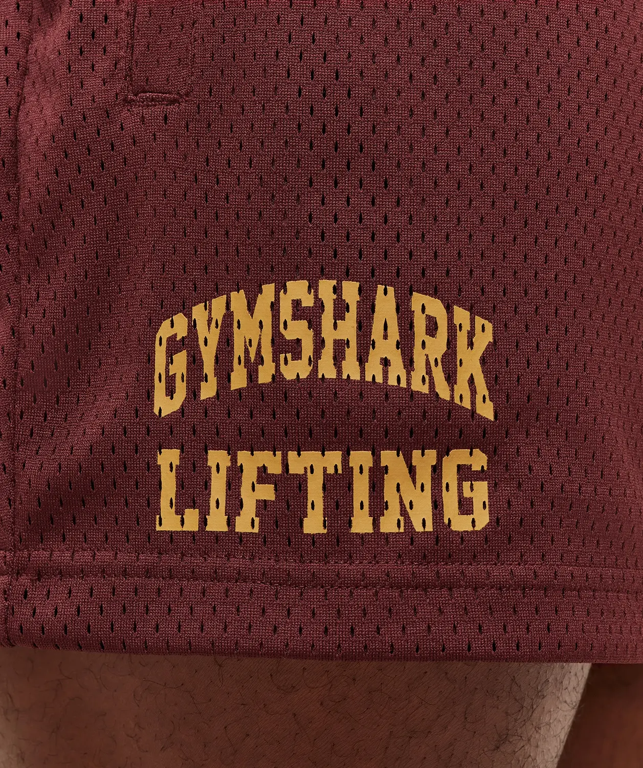 Lifting Mesh 5" Shorts - Image 5