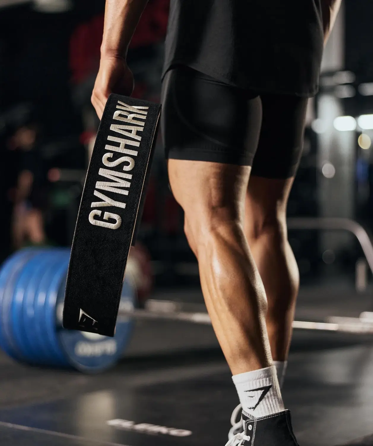 Lever Lifting Belt - Image 6